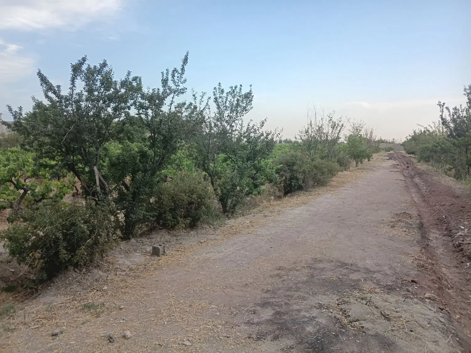 باغچه سندار اب برق گاز اماده ساخت