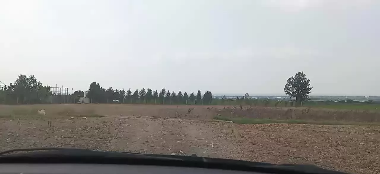 شموشک