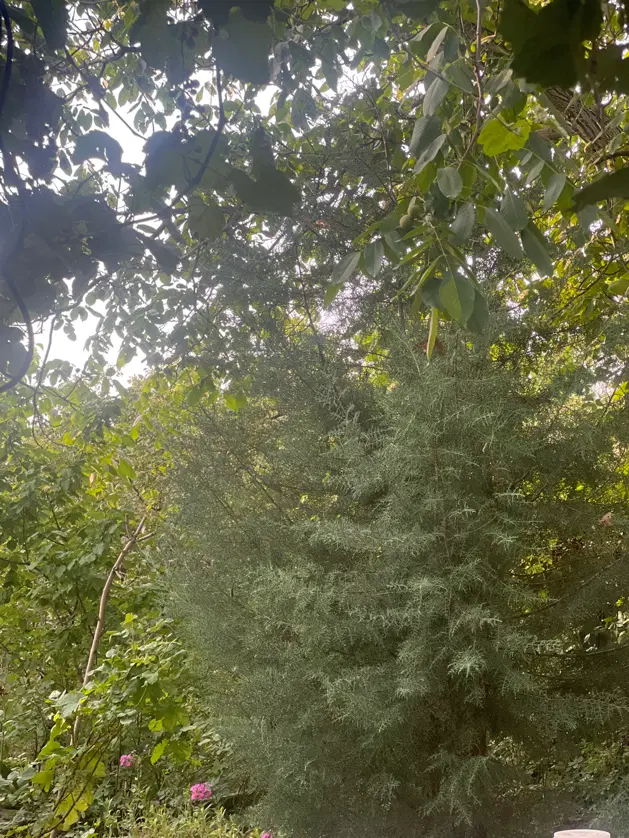 فروش زمین باغی