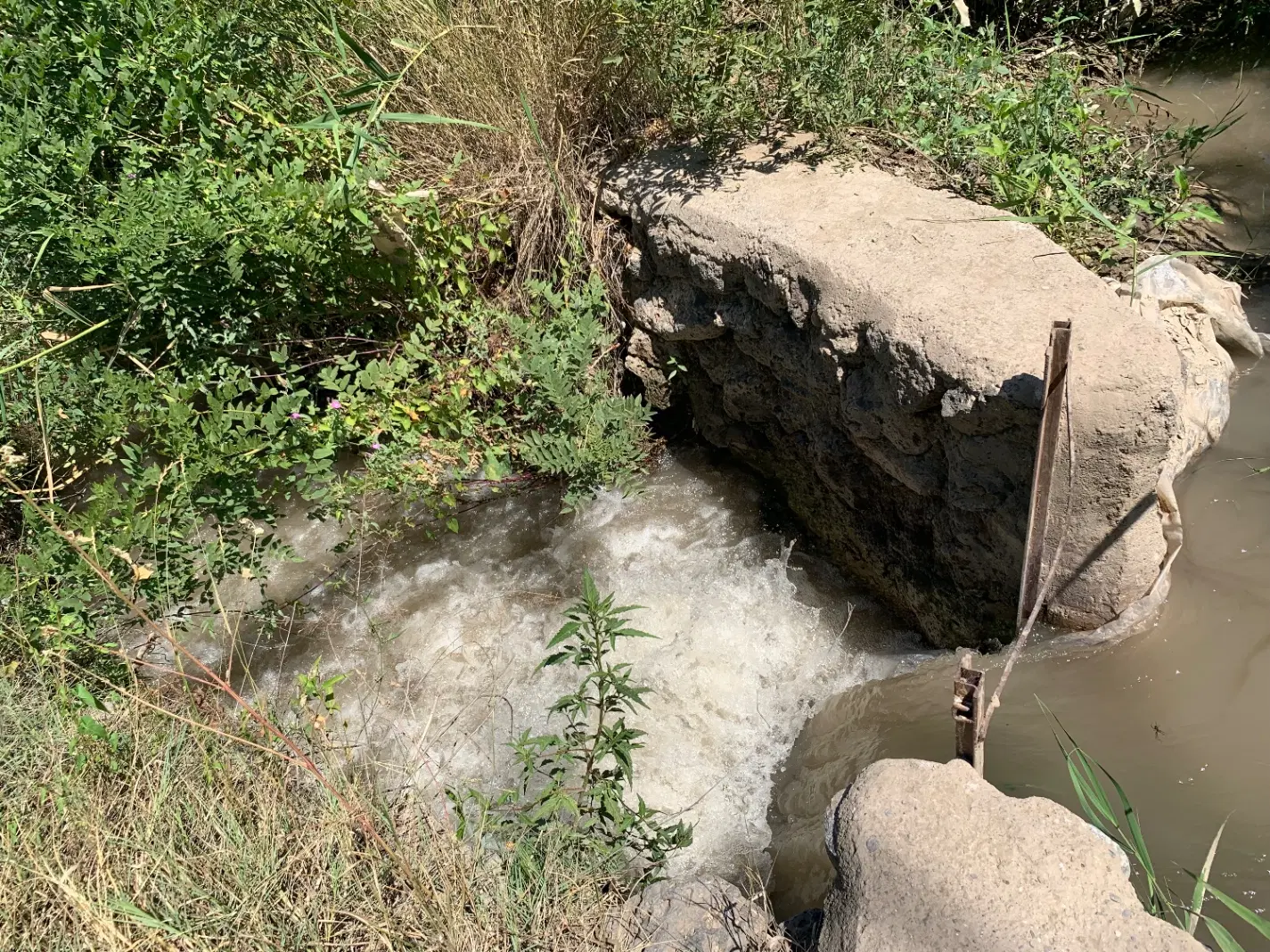 فروش باغ در روستای قزل داغ