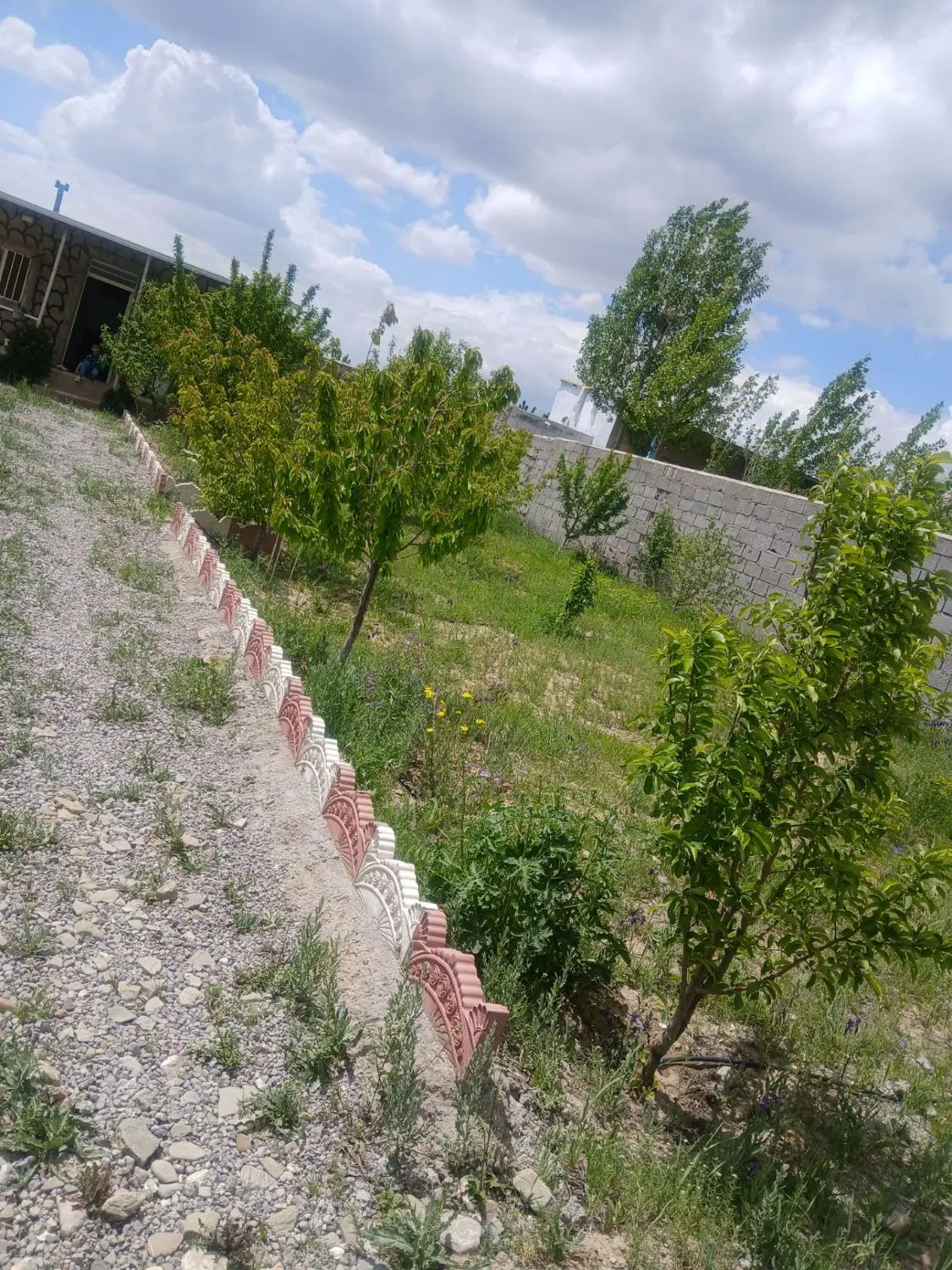 باغ دراسپیران