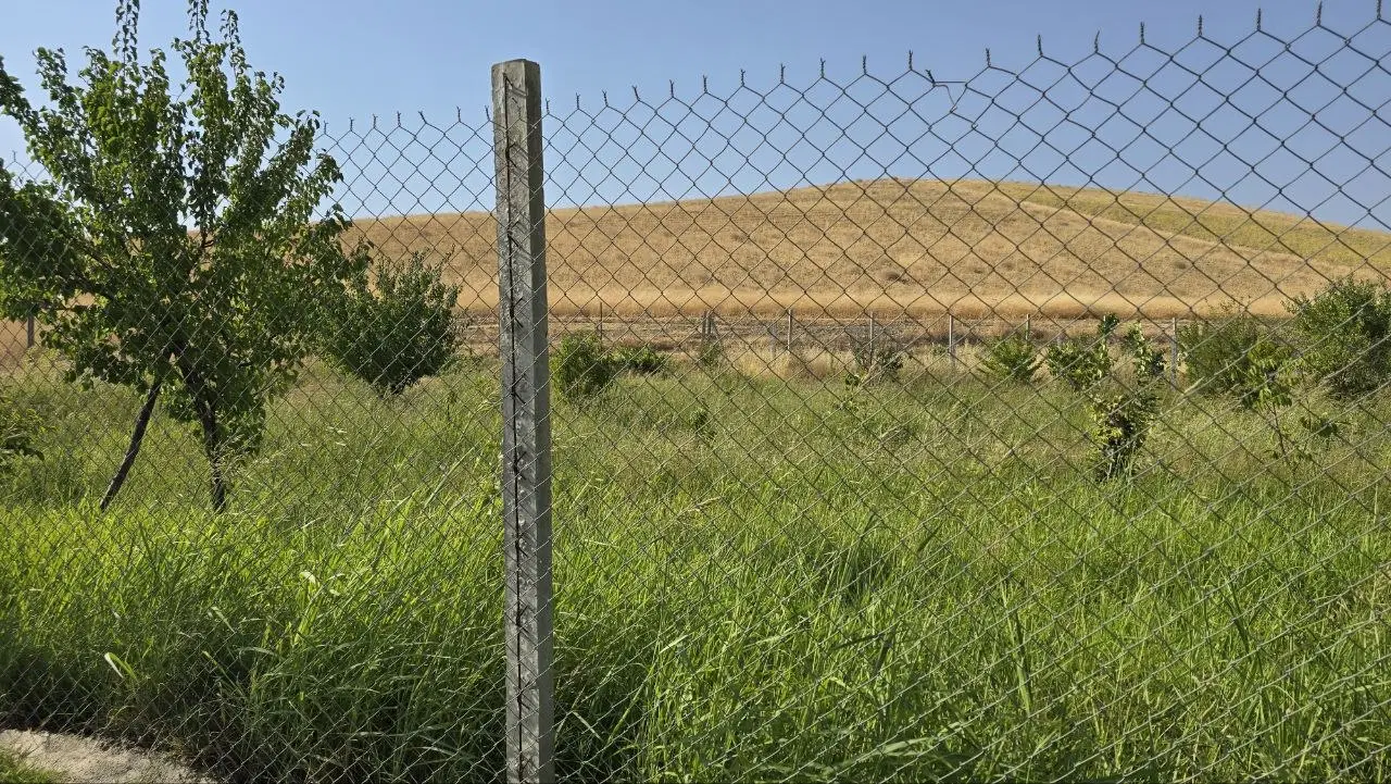 باغی نوبرانه در هولاسو