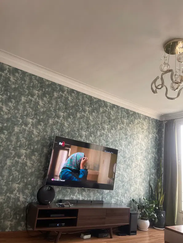 همخونه خانم