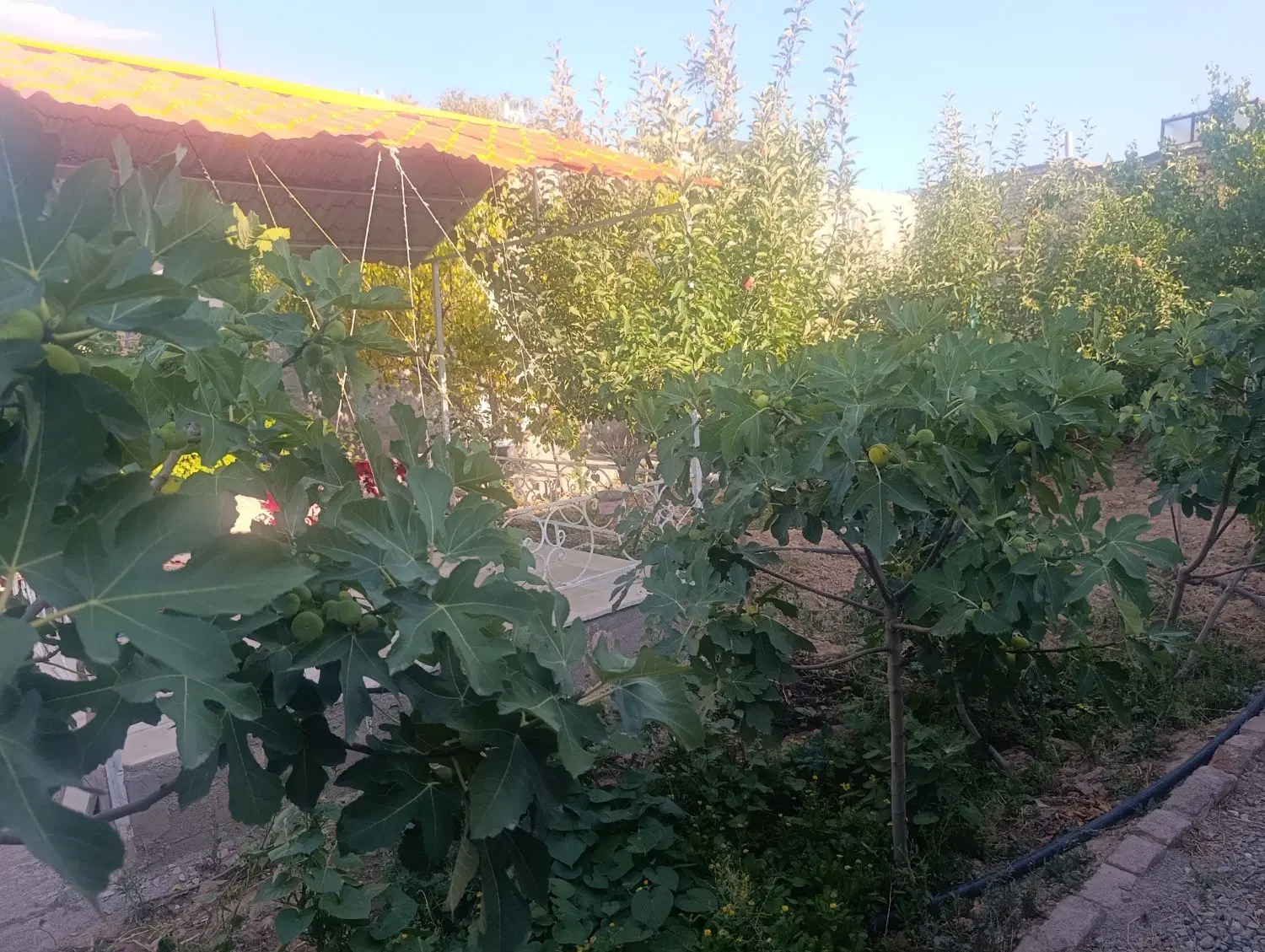 منزل ویلایی