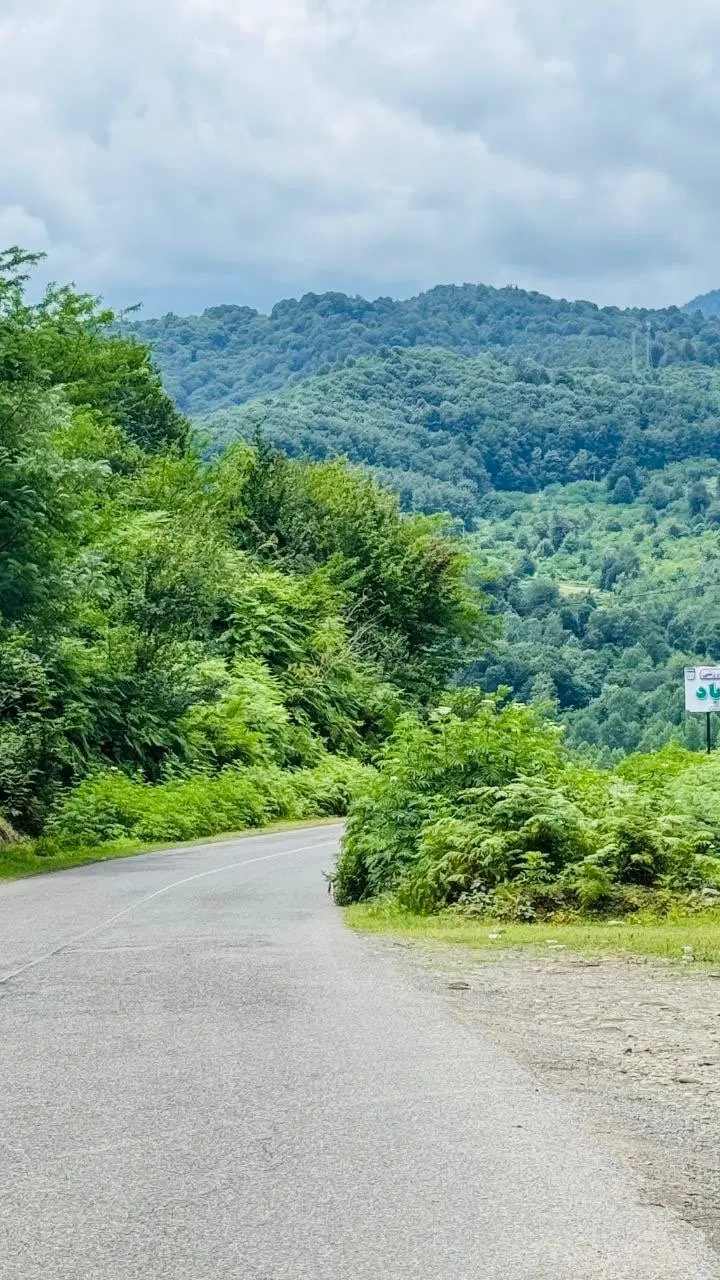 ۸هزار مترزمین  کوهپایه جنگلی قلعه رودخان