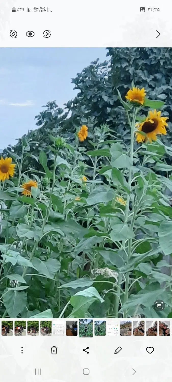 فروش باغ سی سخت