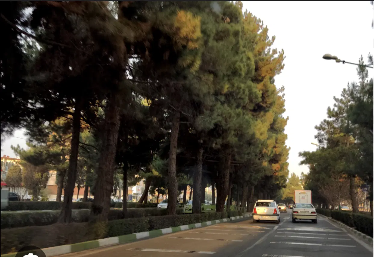 ۴۵۵ متر زمین فاز۱ مهرشهر