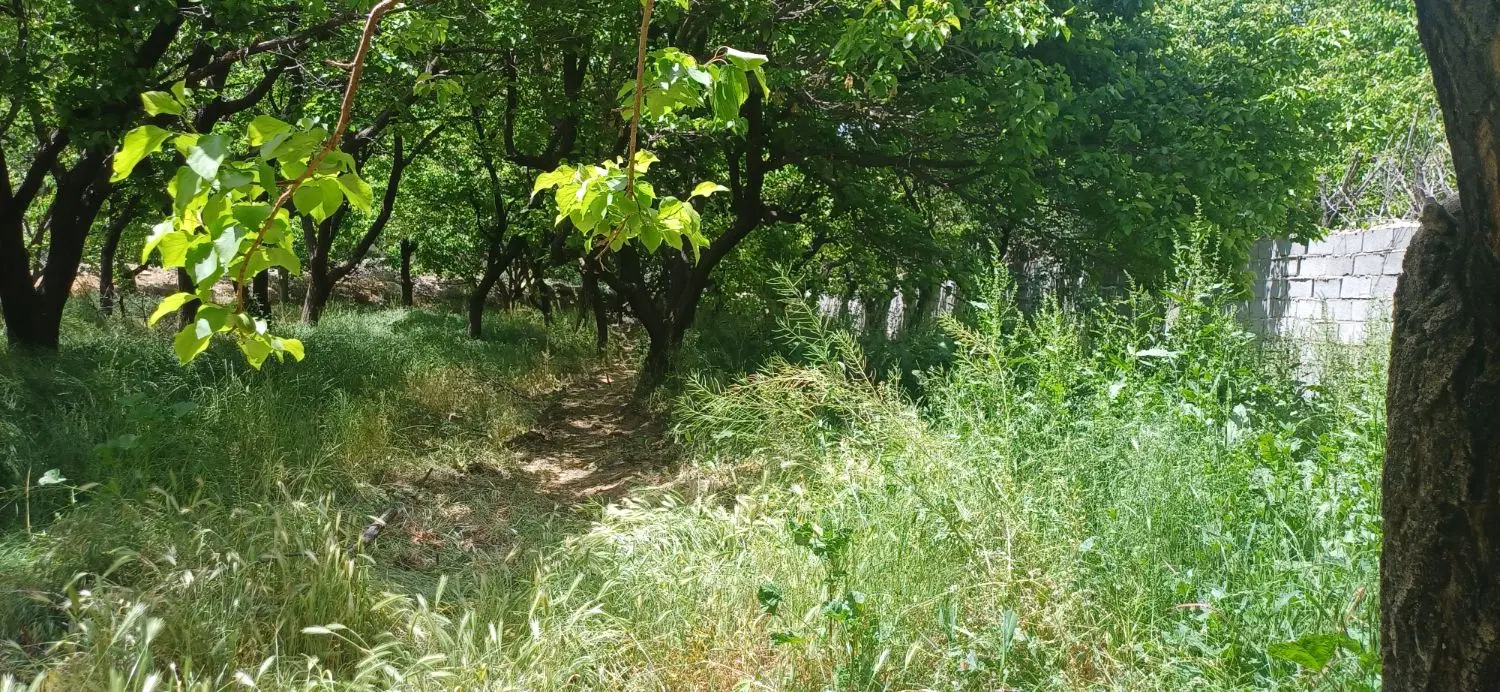 باغ فروشی