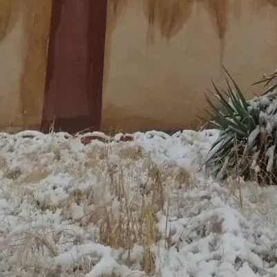 ۱۲۳۰متر زمین