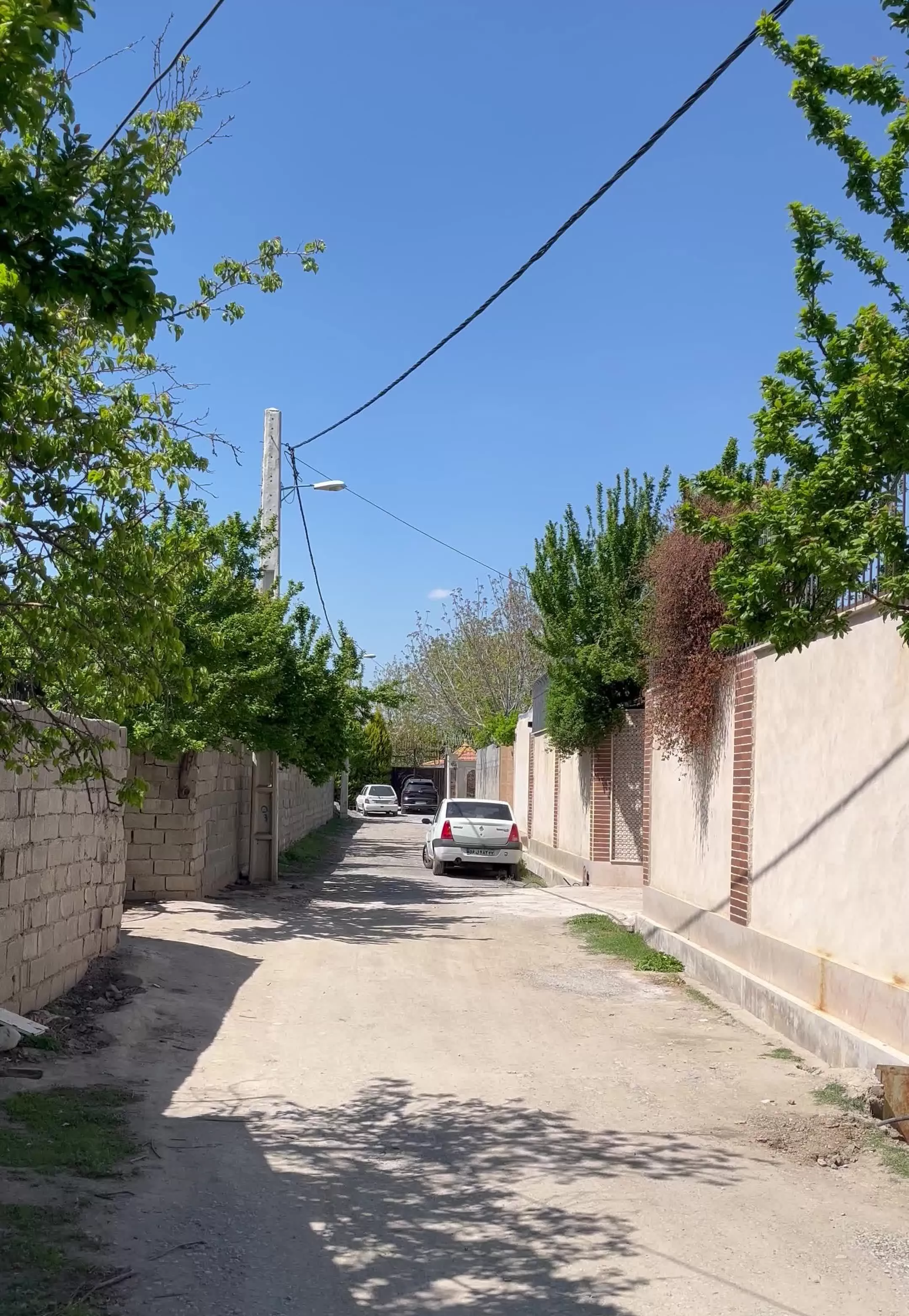 ۵۰۰ متر باغ کردزار