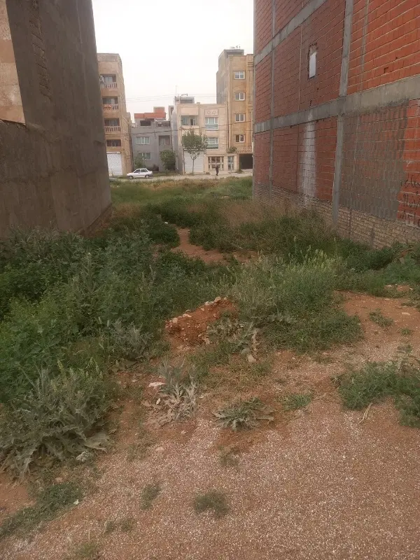 زمین ۱۴۴ متری