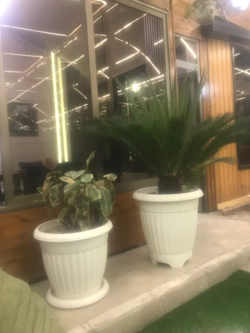 اجاره مغازه در بهترین لوکیشن پاخور عالی