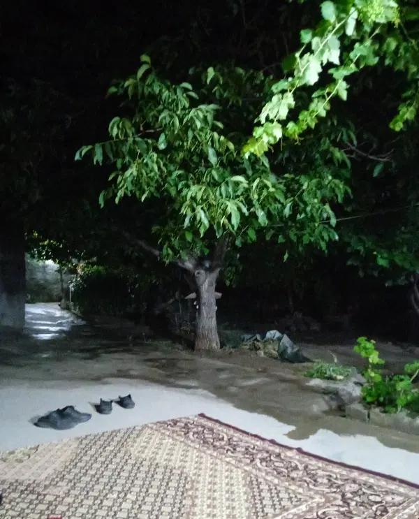 خونه ویلایی