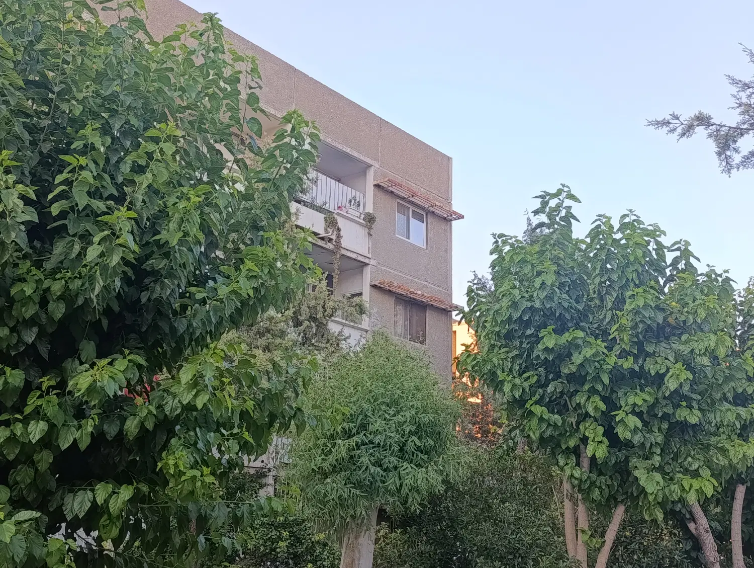 فروش آپارتمان ب ۵ حمیدی شاد