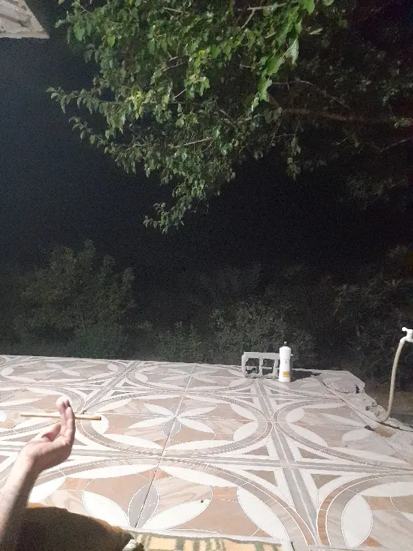 باغ مرکبات