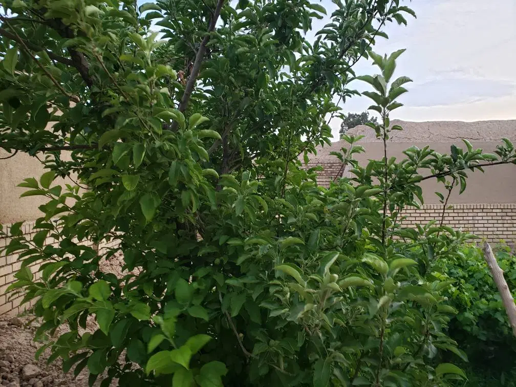 منزل ویلایی دامغان مایان