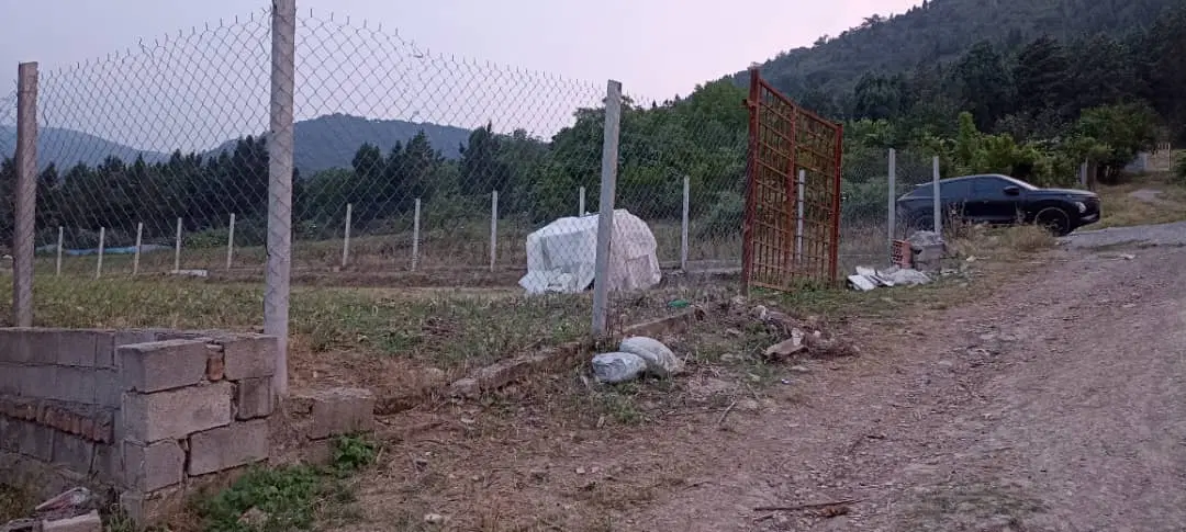 زمین