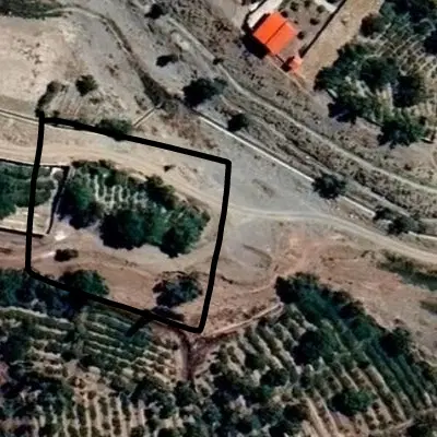 باغ انگور  کامو