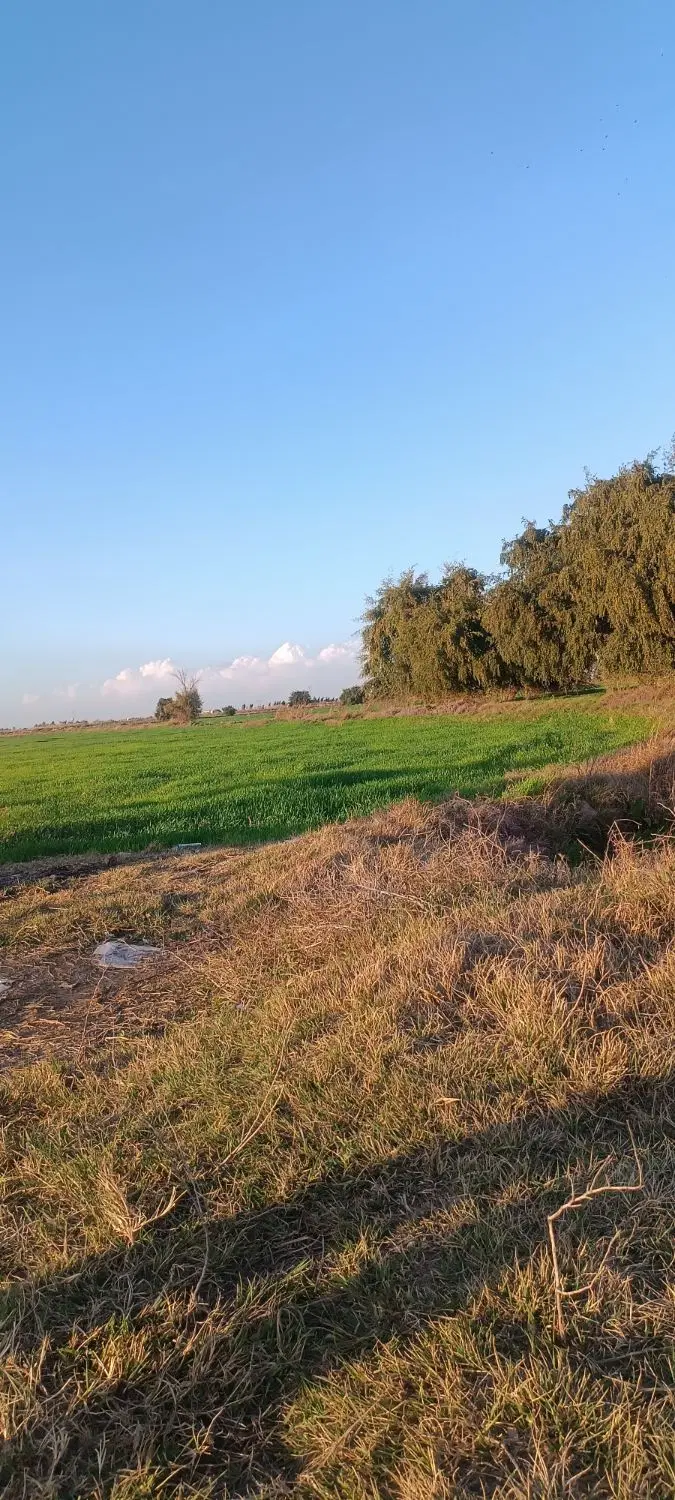 زمین مسکونی