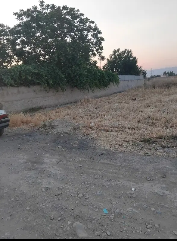 زمین به متراژ ۳۰۰۰ متر جیتو