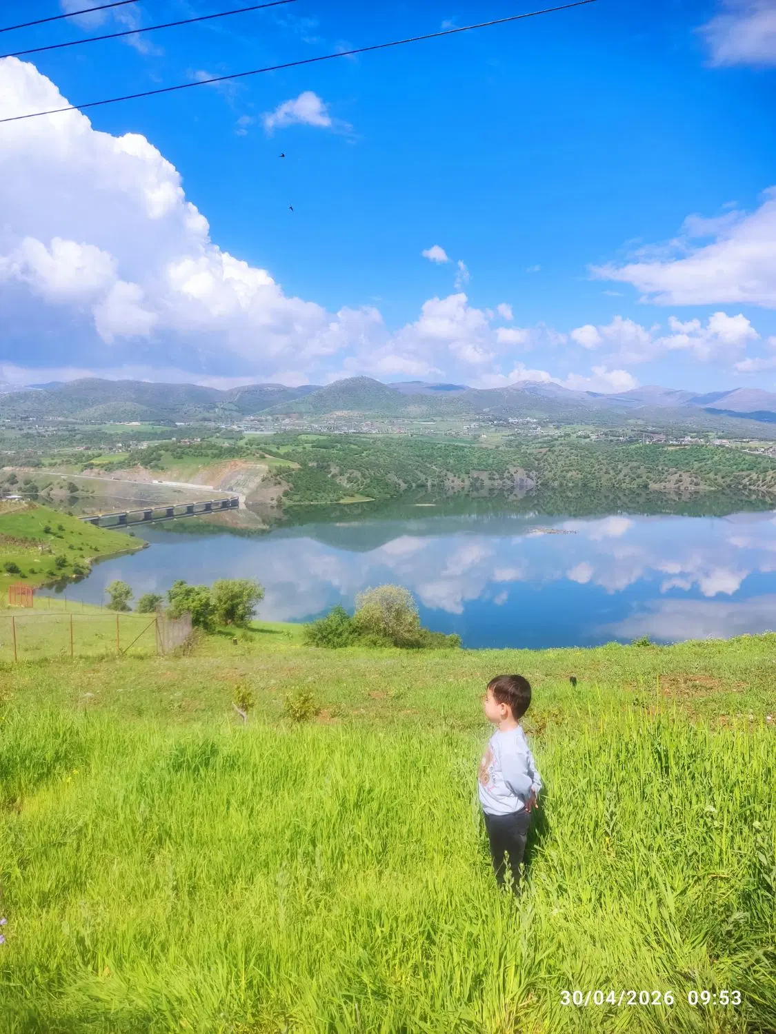 زمین کشاورزی سراب قامیش