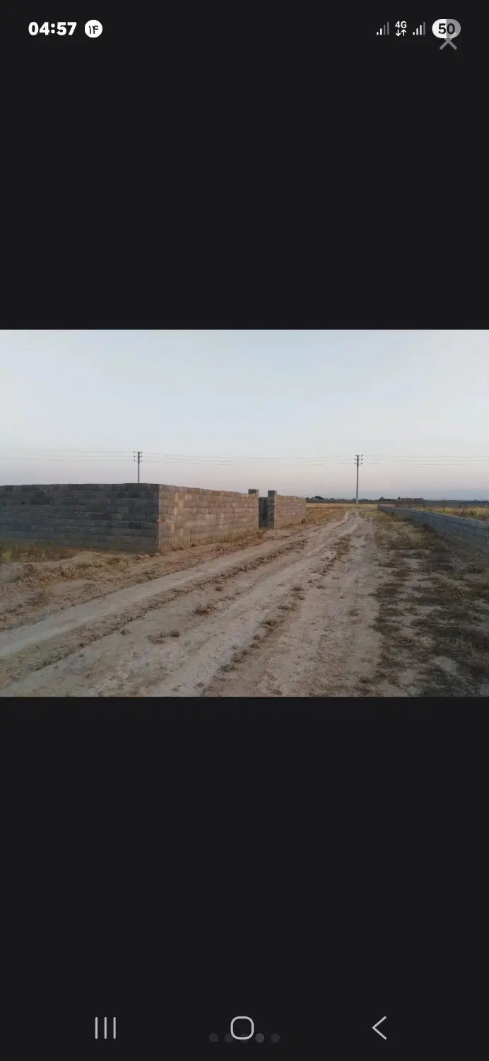 زمین باغی