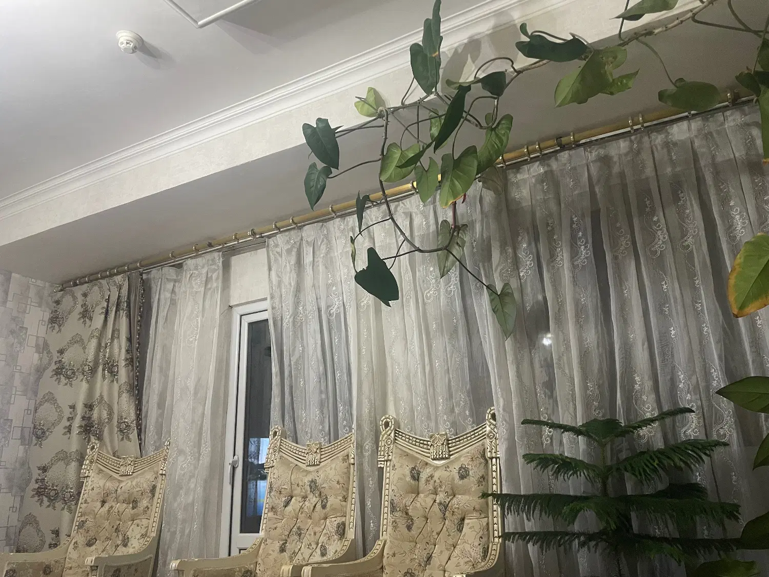 یک واحد بسیار زیبا و پر نور