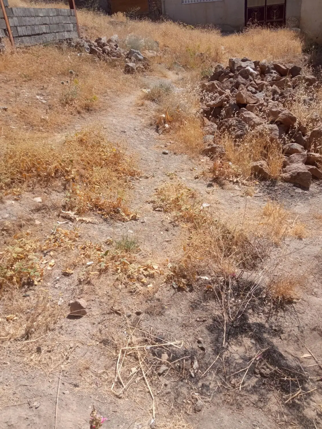 زمین فروشی نایسر کانی په پوله
