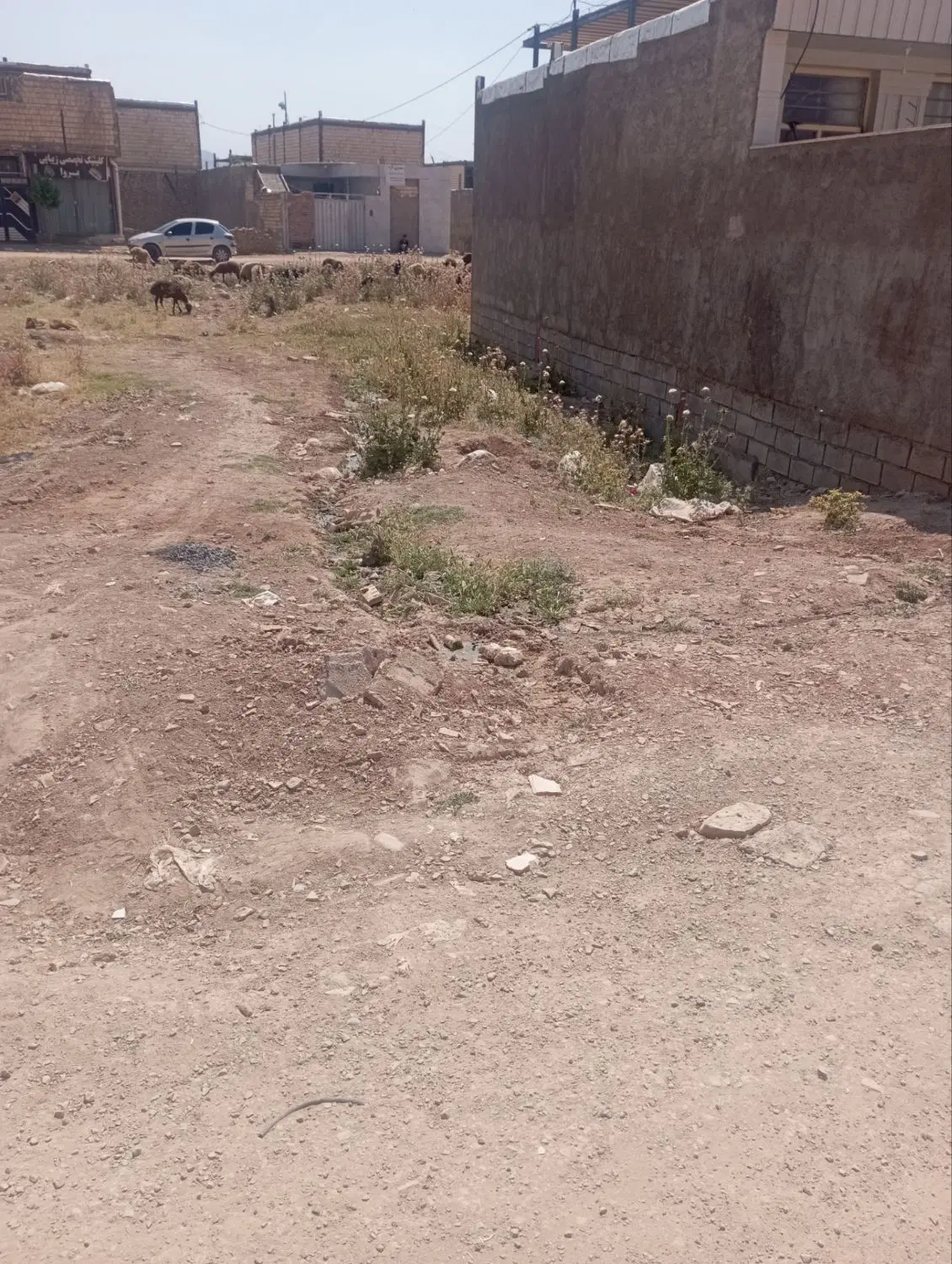زمین در جزایری ۱۴۲ متر نیلوفر۱۱