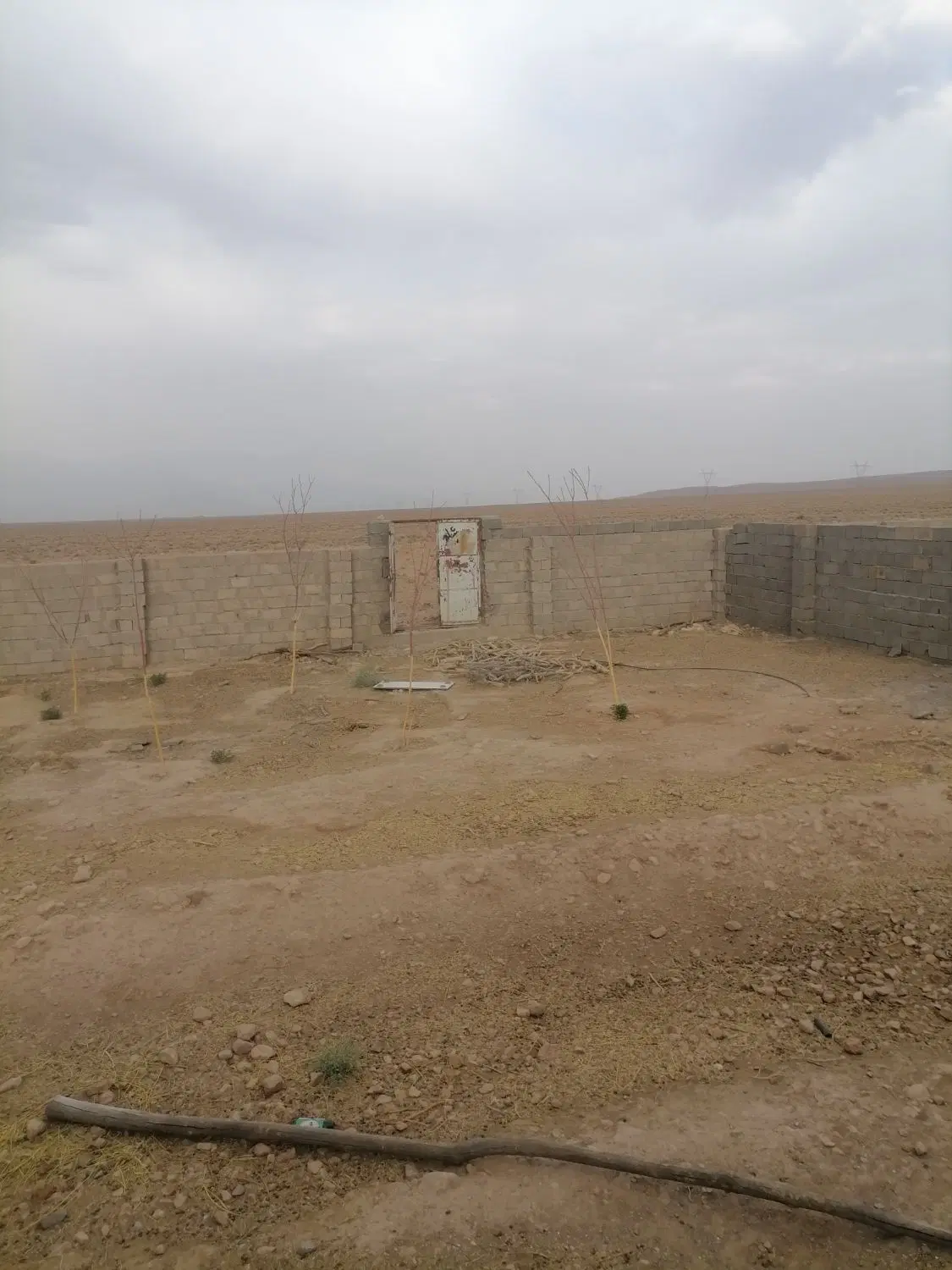 زمین دامداری