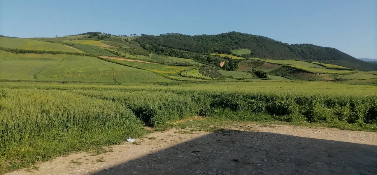 زمین بدون کاربری  تیلان