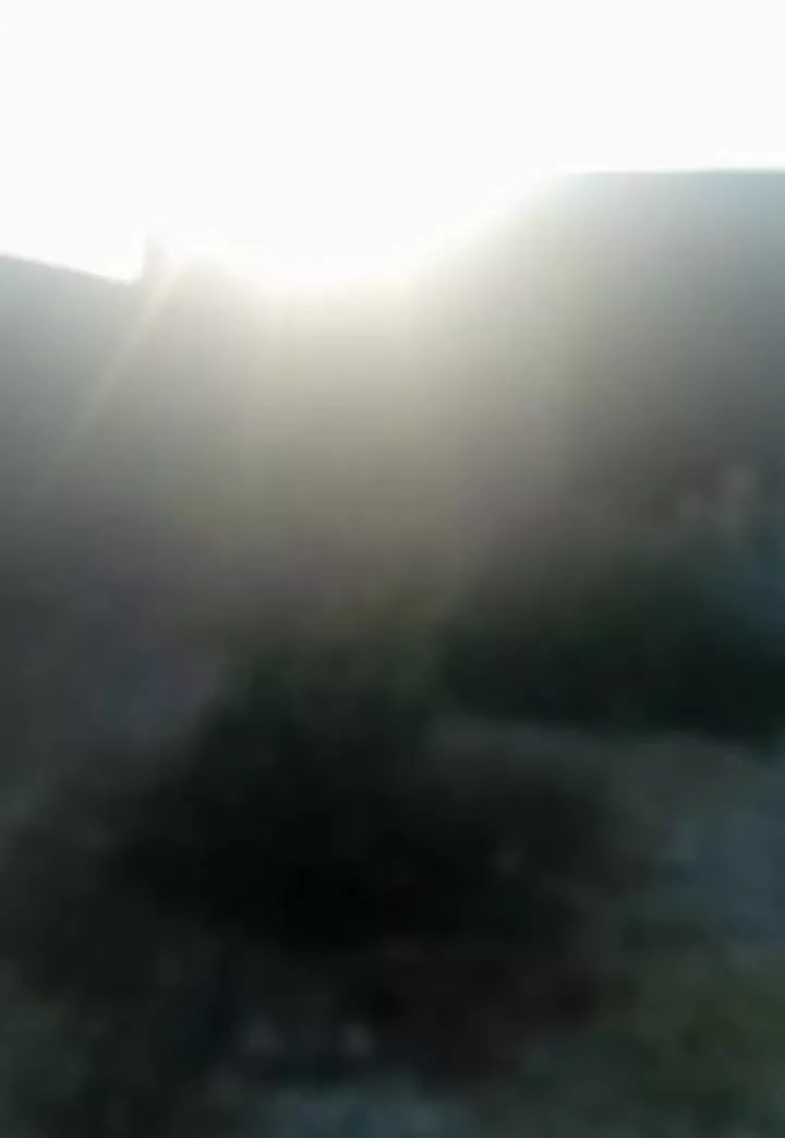 فروش خانه باغ کمر بندی خان زننیان