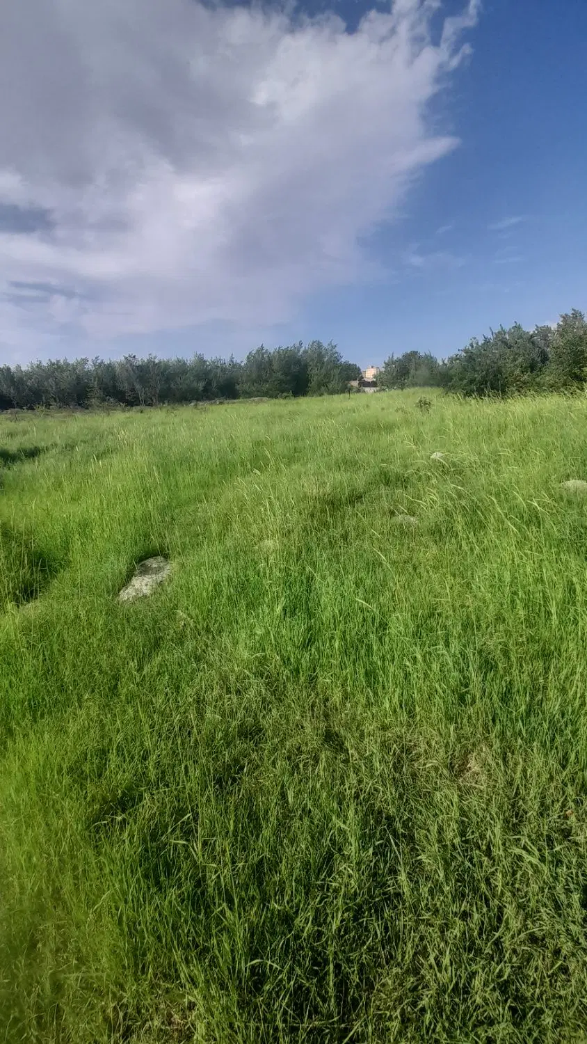 فروش یک قطعه زمین در روستای مزرعه خلف