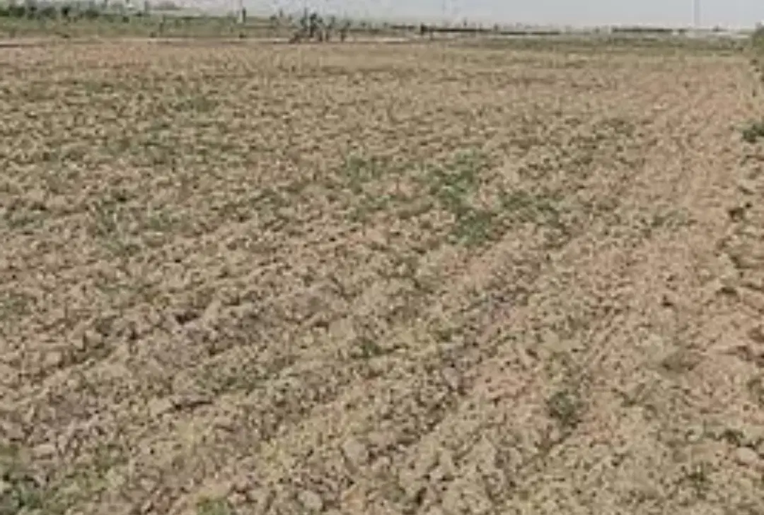 ۳۰۳۶ مترزمین جمهوری خراشاد سندتک‌برگ