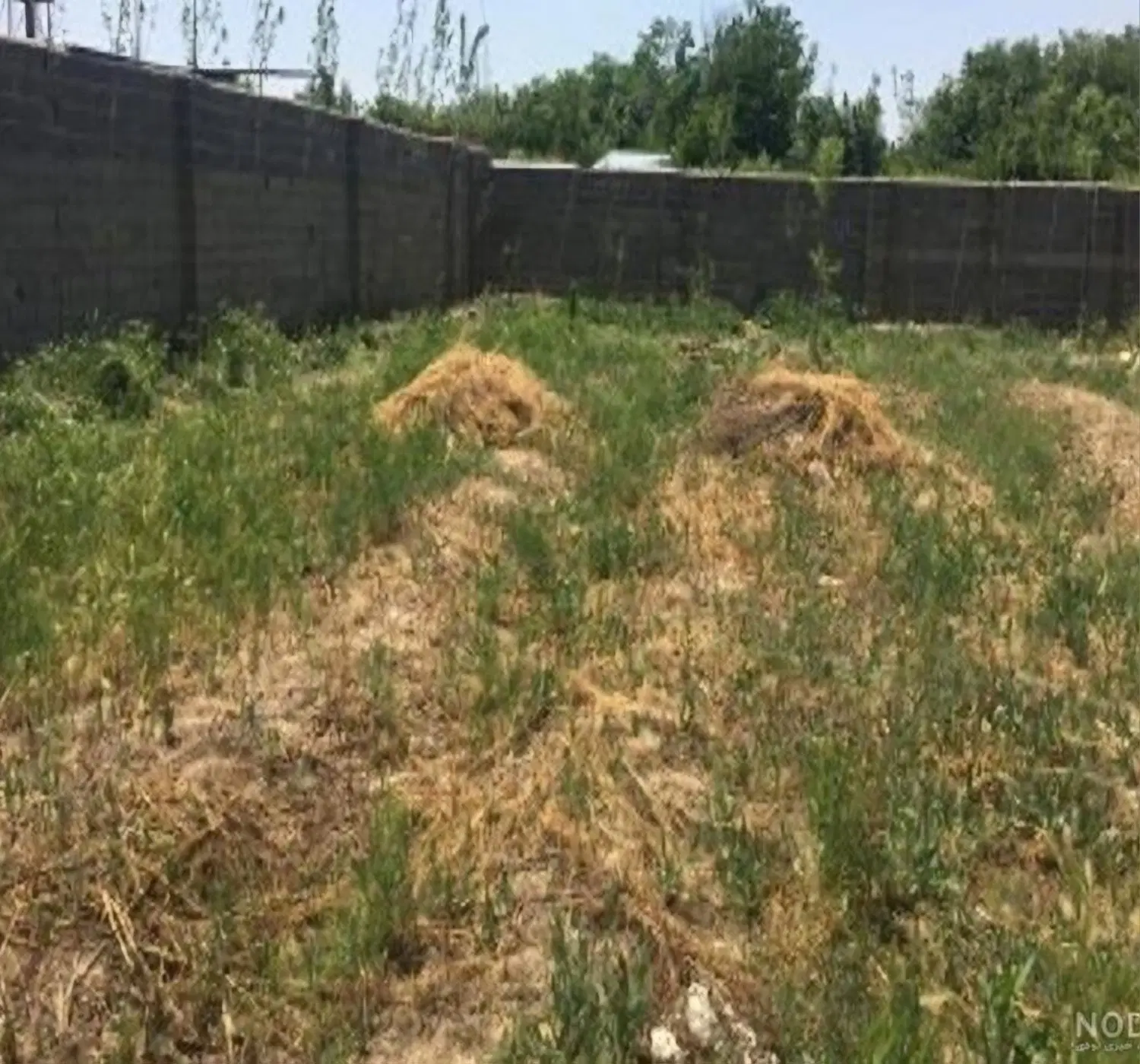زمین ۳۵۰متری جاده قمصر شهرک پدیده