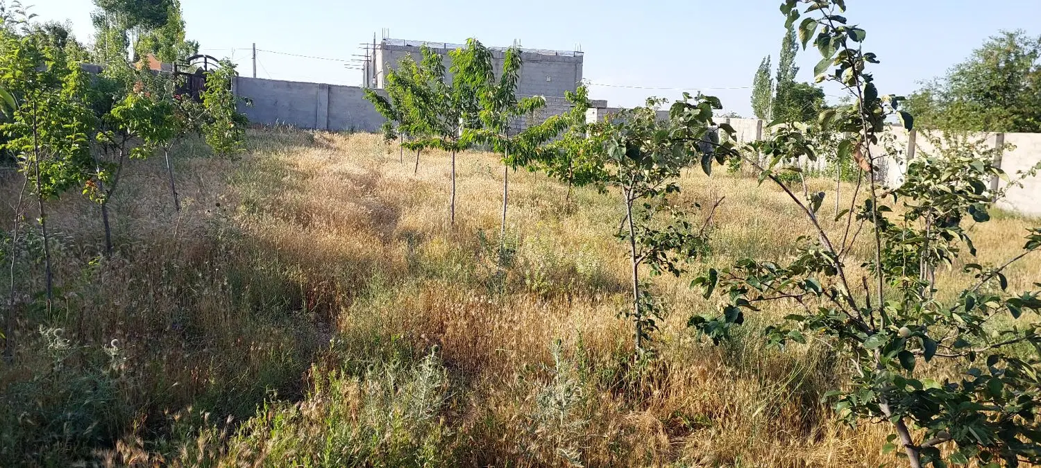 زمین مسکونی باغ