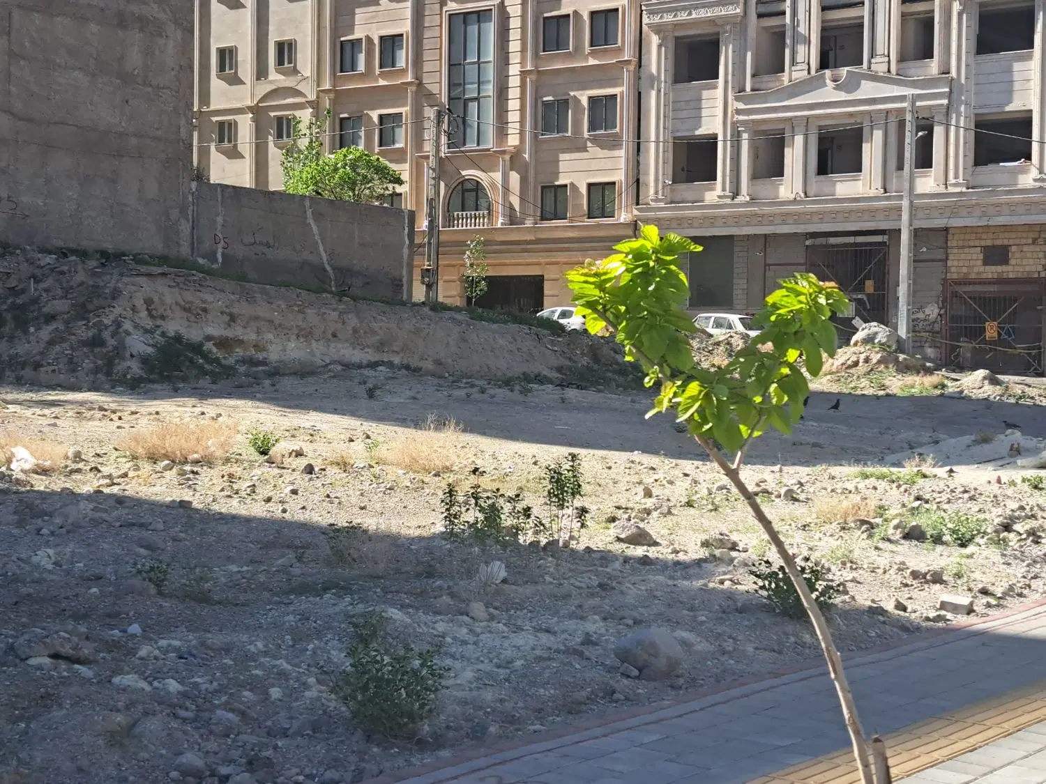 ۳ قطعه زمین بر خیابان ولیعصر