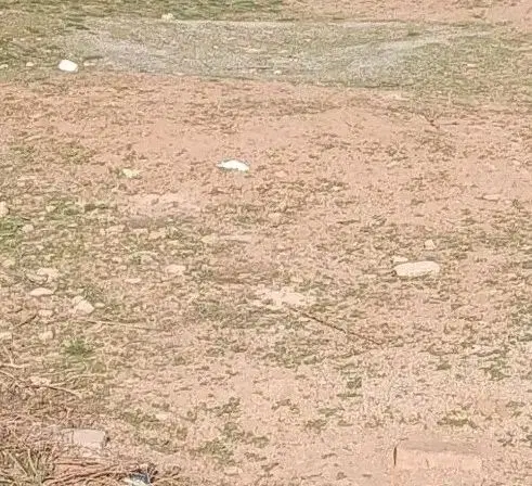 زمین قبر