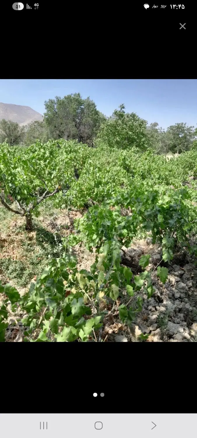 زمین در قعلک