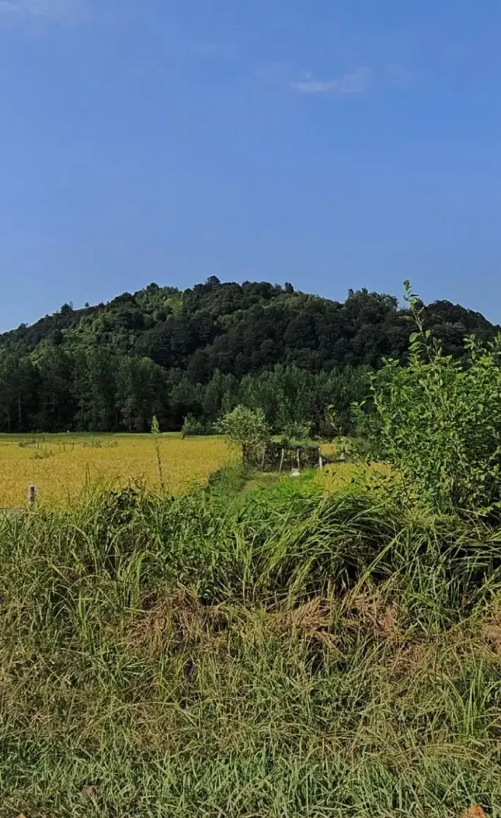 زمین ۱۵۰ متری