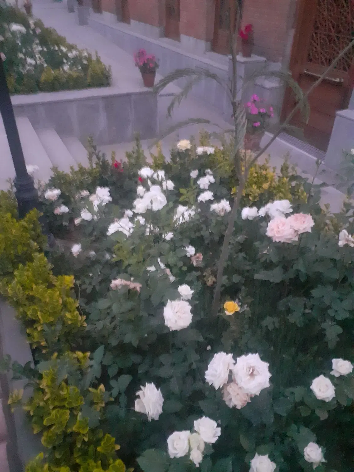 خانه۸۰متری همراه بامغازه