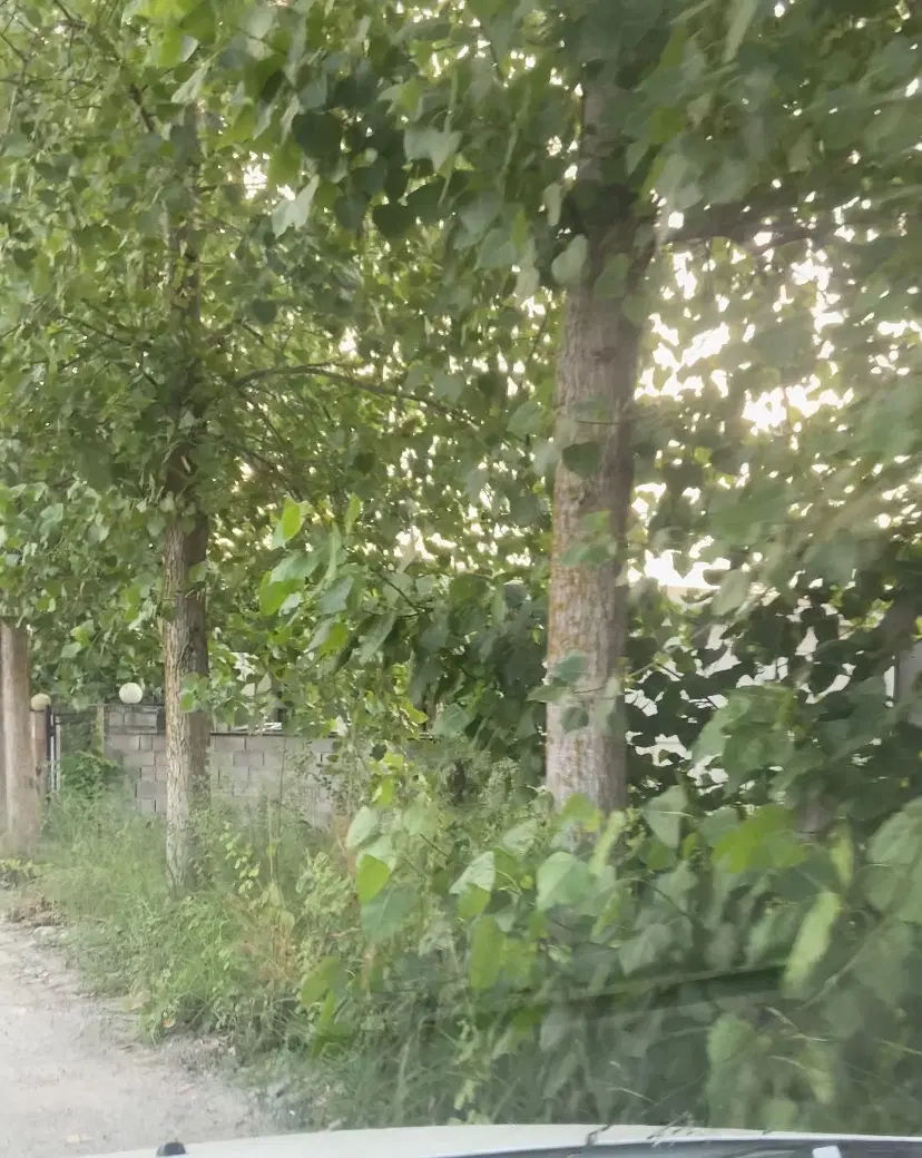 ۲۲۰ متر زمین با بر ۱۵ متر