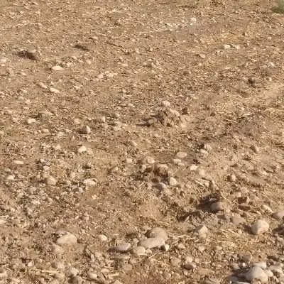 فروش زمین فرهنگیان۱۷۳متر