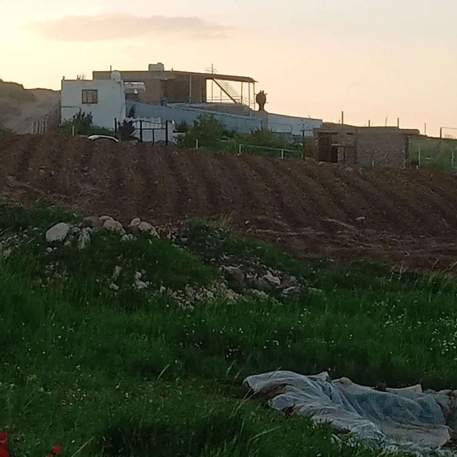 زمین خام دشت زنگان برای خانه باغ