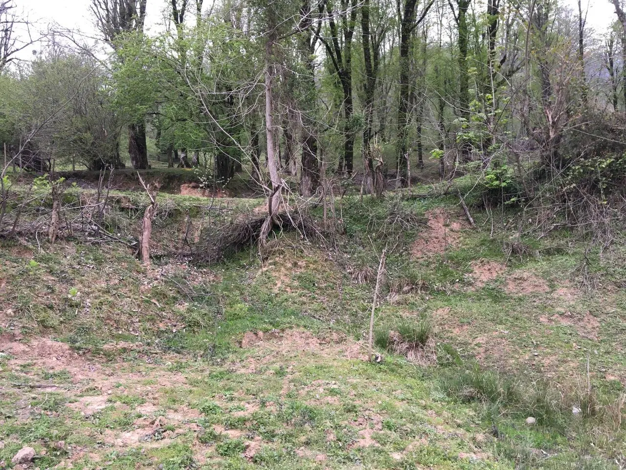 زمین مسکونی روستای شولم