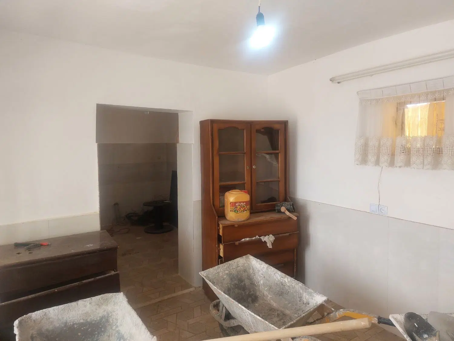 باغ انگور