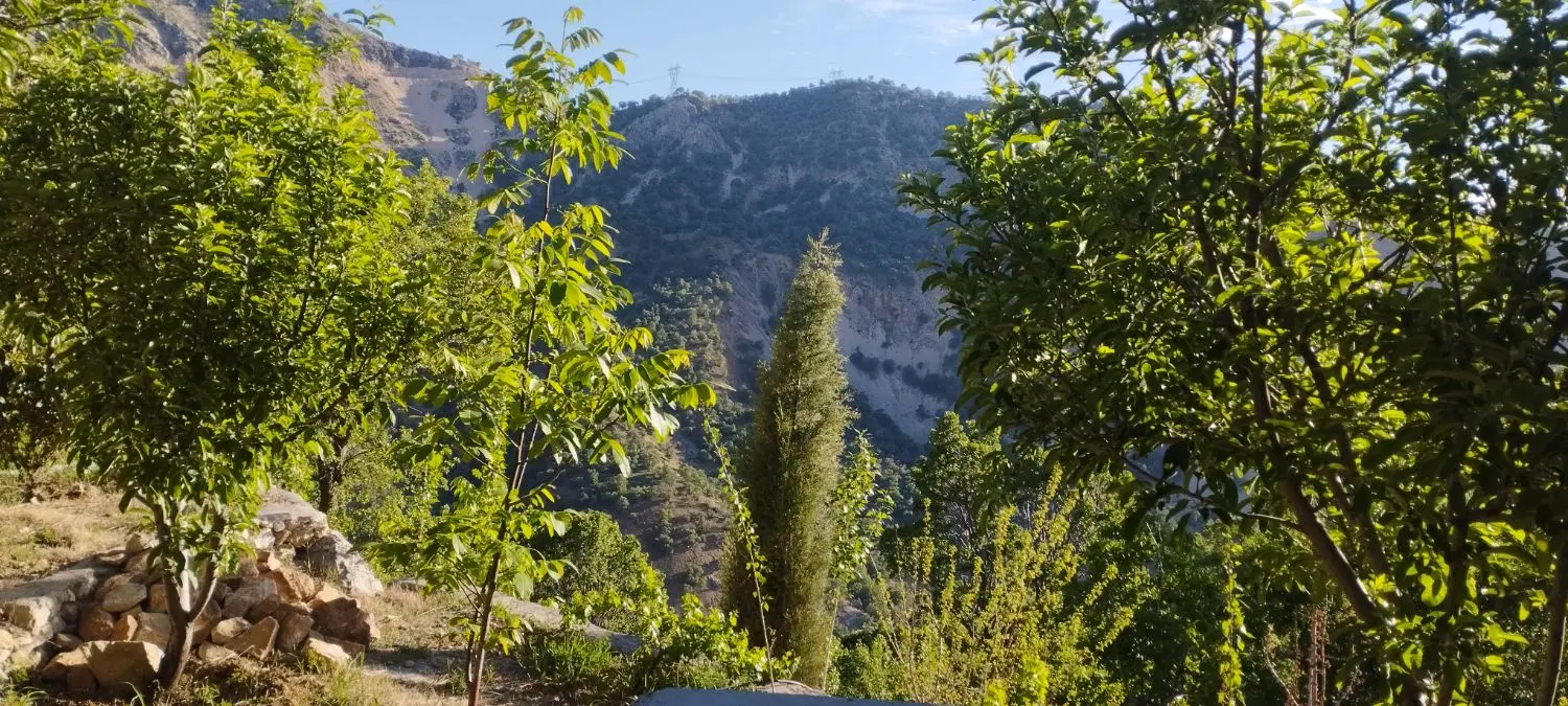 فروش باغ مناسب ساخت خونه باغ و سرمایه گذاری