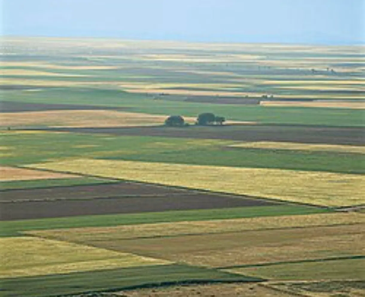 اجاره زمین کشاورزی