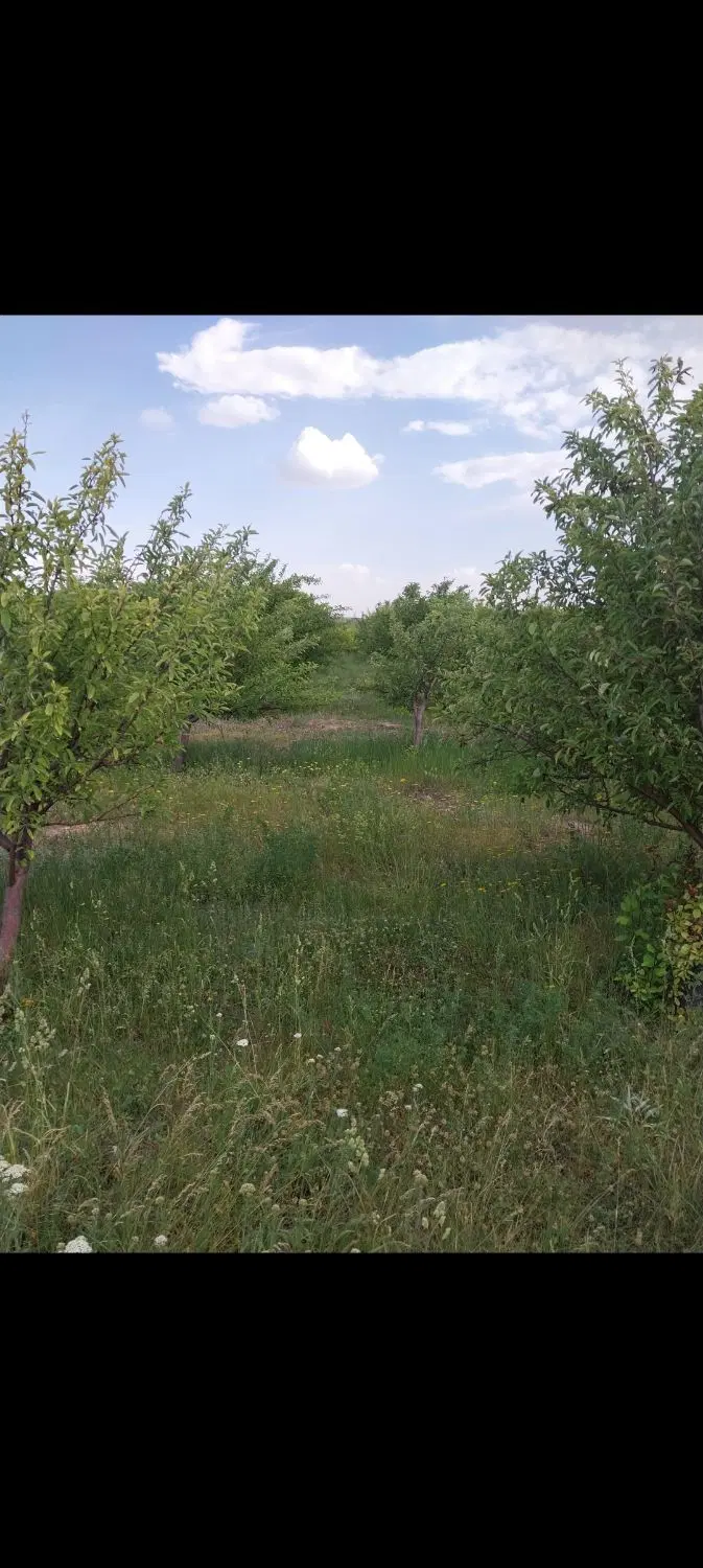 باغ درروستای کهل