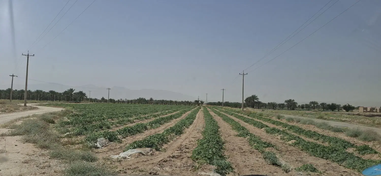 ۷هکتارباغ دریوسف آباد